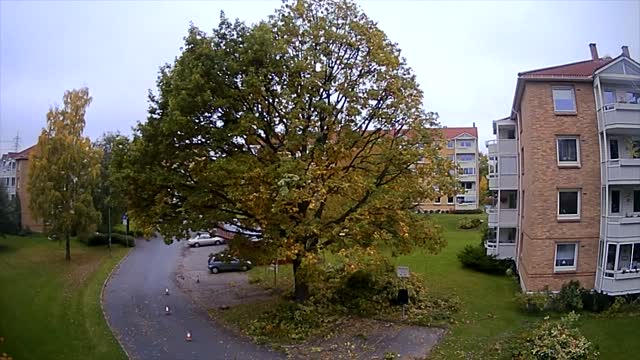 Tree Pruning