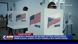 Democrats Banking On Voter Fraud To Help Kamala Win