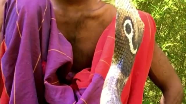 Man Skills with Cobra Snake🐍😱 #Snake #short #viral #snakes Snake #snakevideo #snakehead