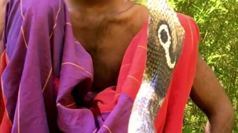 Man Skills with Cobra Snake🐍😱 #Snake #short #viral #snakes Snake #snakevideo #snakehead