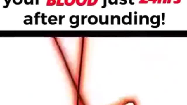 LOOK WHAT HAPPENS TO YOUR BLOOD AFTER GROUNDING!