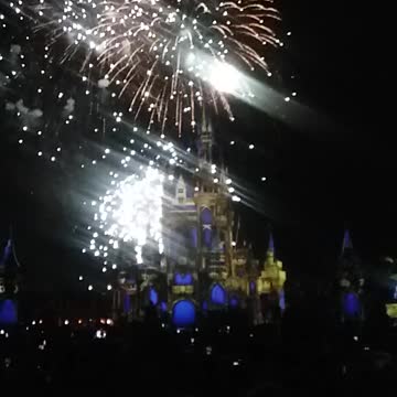 Disney magic kingdom