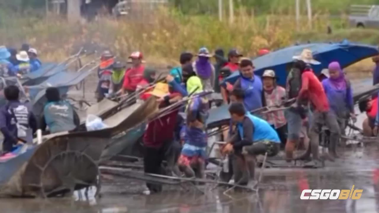 Rice Tractor Racing