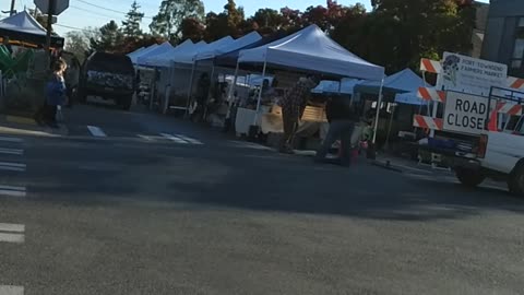 Open Air: Farmer's Market