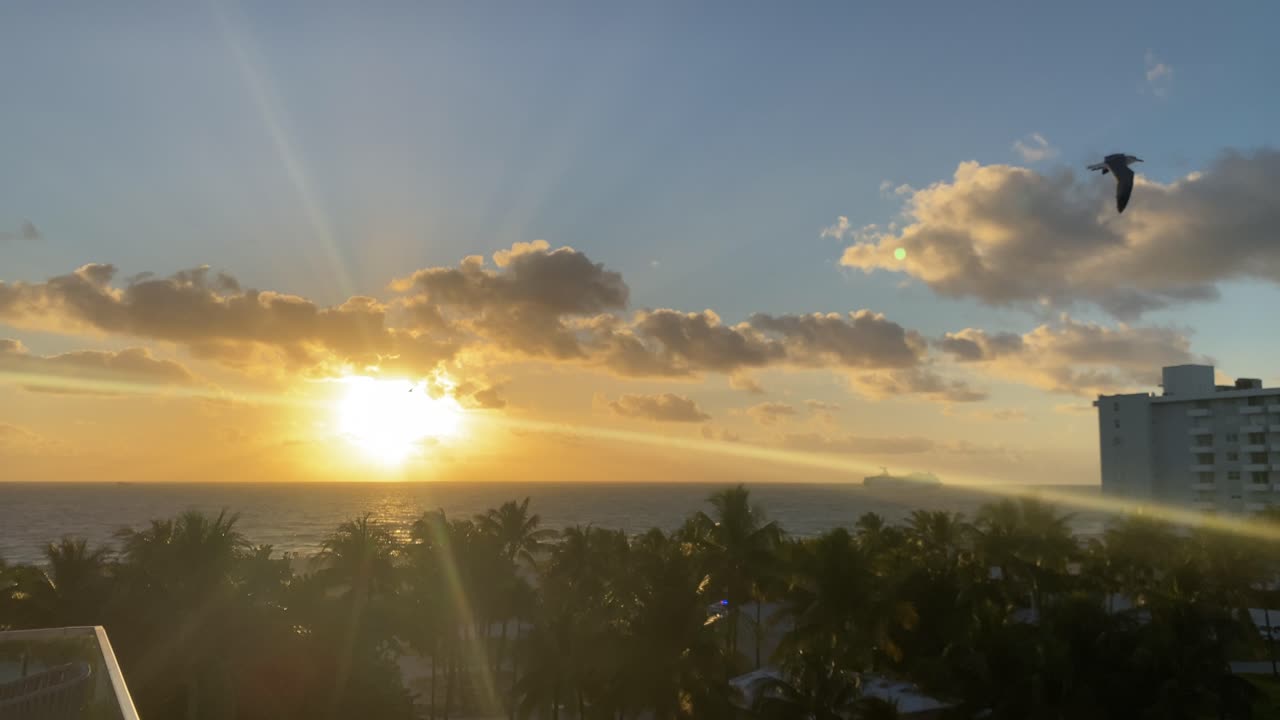 Morning Blessings from Miami Beach