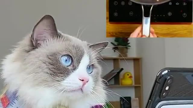 Let’s pop!!! …. Or not 😂😂😂