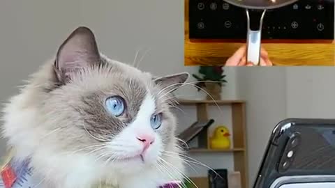 Let’s pop!!! …. Or not 😂😂😂