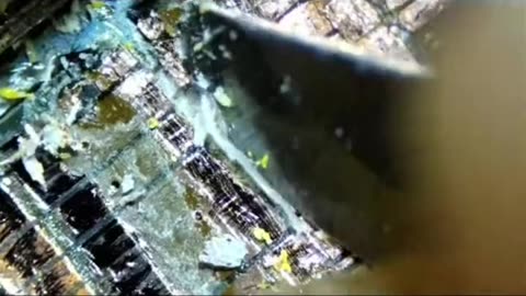 How to use it amazing and I will send it out to you