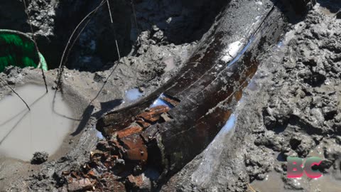 Archaeologists unearth 13,000-year-old mastodon skull in Iowa