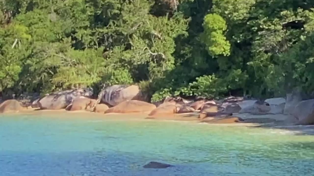 15/21 - Um Pouco de Gov. Celso Ramos - SC (Vídeo Completo no Canal) #shorts #governadorcelsoramos