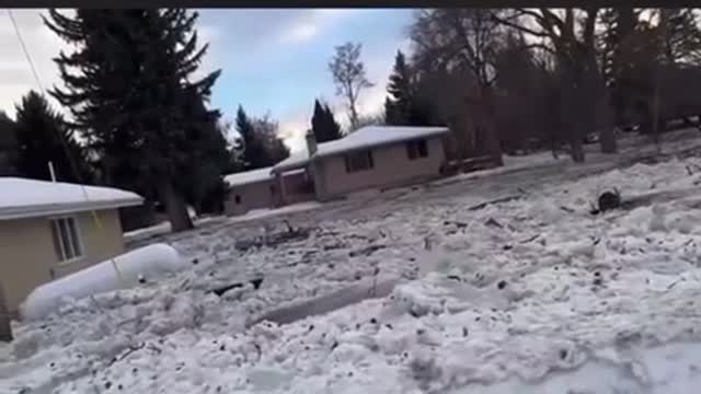 WINTER FLOODING IN MONTANA - -40 to 40 causes massive flooding