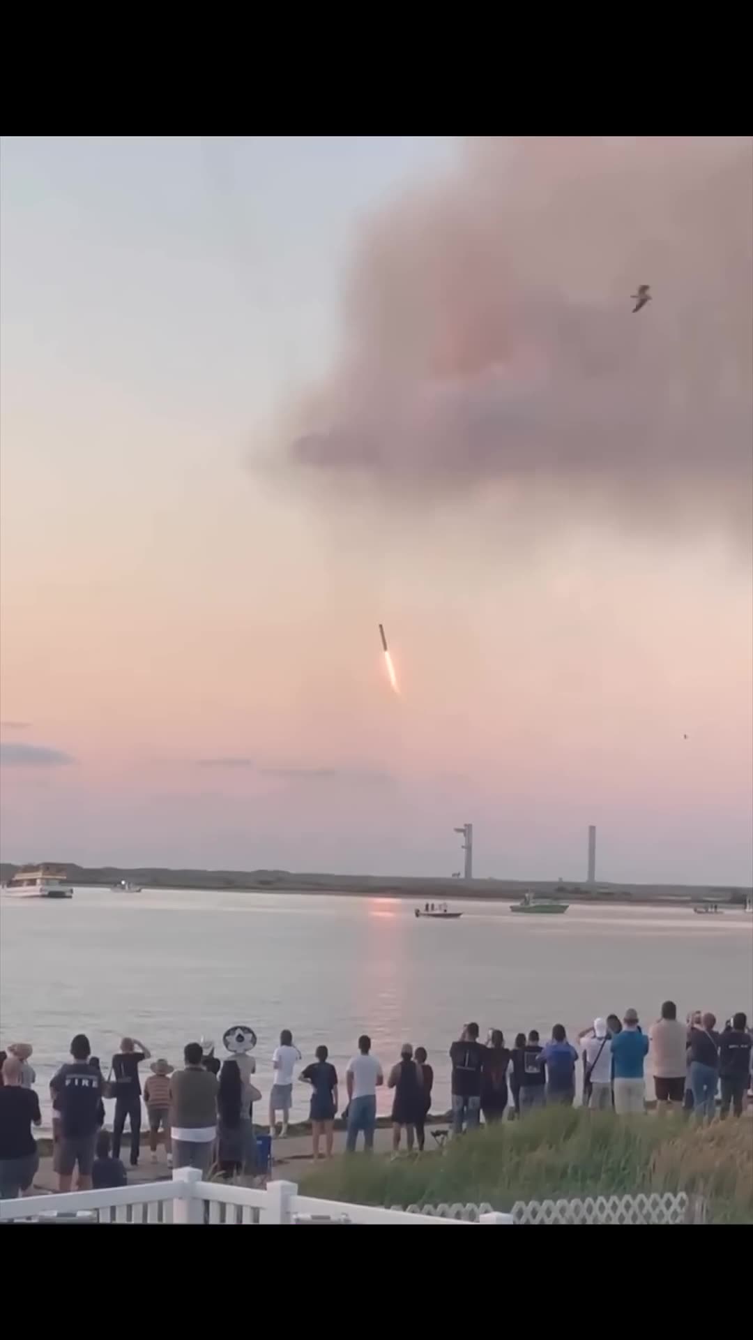 SpaceX “catches” StarShip Reusable Rockets spacex elonmusk space 