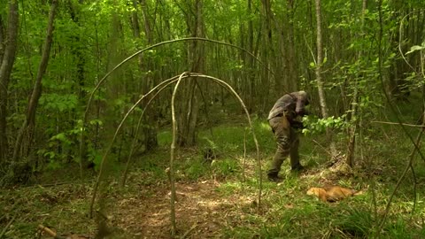 Building_a_Survival_Shelter_in_a_Forest_-_Camp_food_from_natural_herbs