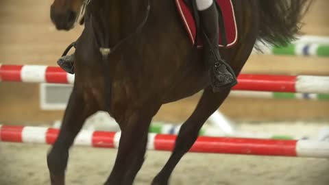 Rider performing galloping on bay horse, slow-motion