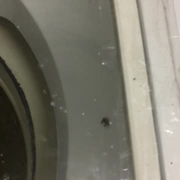 Brazilian military/Police are prostitutes of US military/agents/marines