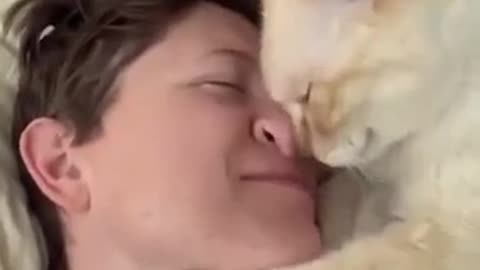 Beautiful cat ❤️ love me