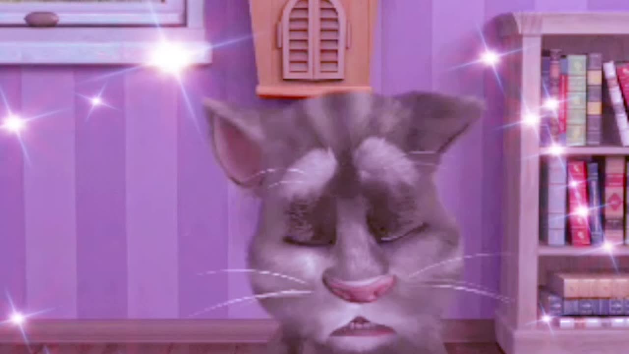 My talking cat funy activities 🤣🤣🤣🤣🤣😚😚😚😚👈
