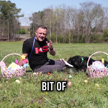 Top 3 Easter Treats for Your Dog