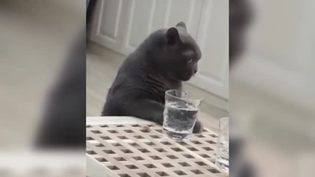 I'll do it. Let's get down there and shower. See if you fish.