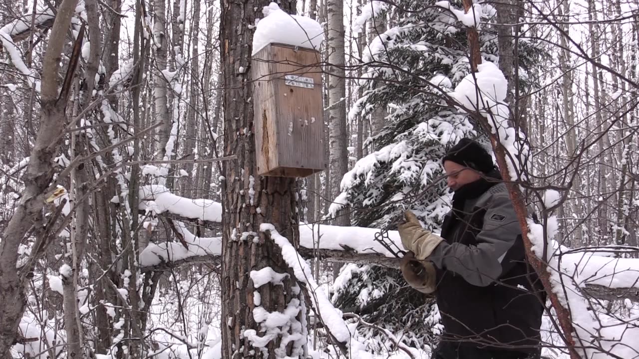 Trapping Inc Season 4 Episode 11 Marten