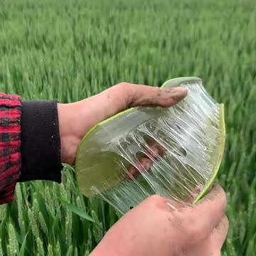 29 AMAZING BEAUTY HACKS WITH ALOE VERA