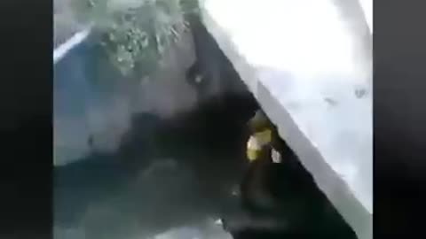 funny Fails 😂😂