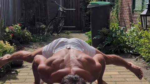 Planche push ups