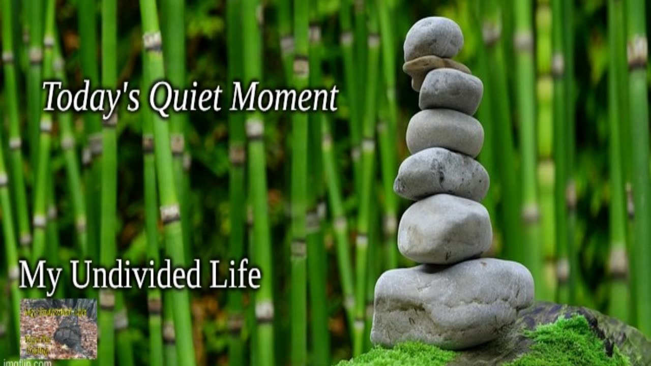 Today's Quiet Moment #2