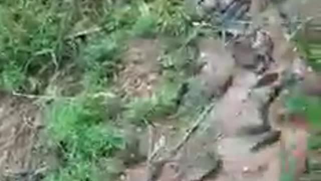 WHAT THE FISH IS GOING ON HERE !?