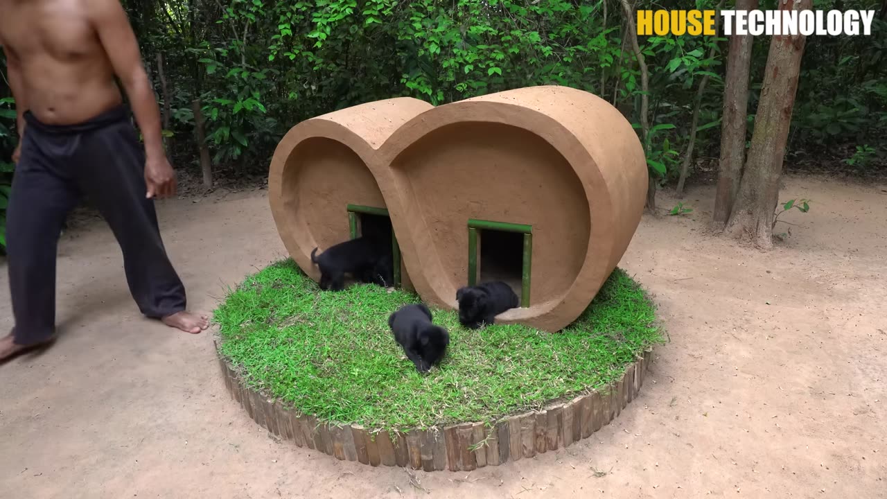 Rescue Puppies Building Mud House Dog for warm Shelter