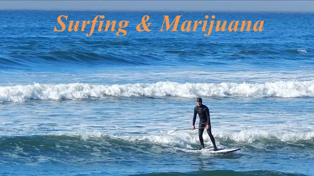 Surfing & Marijuana October 2022