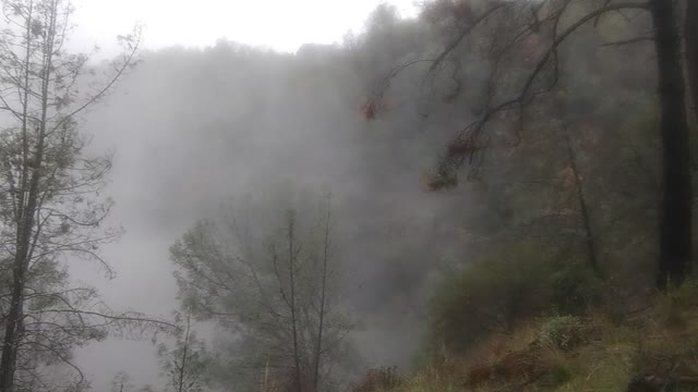 Hiking American River rain