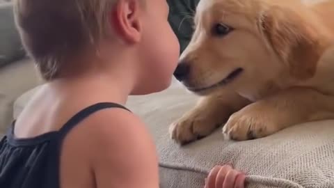 This cute puppy dog kisses baby | cute baby | dog videos