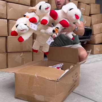 I really need to get my dog a prepaid card.