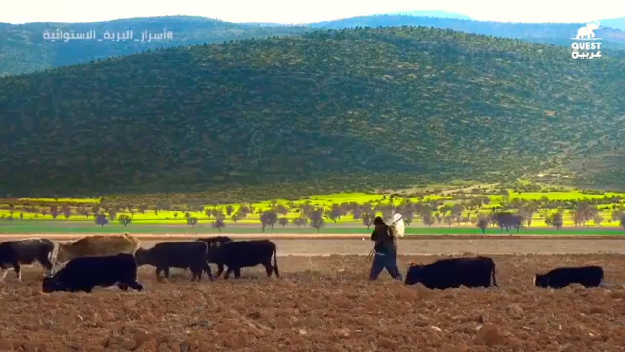 022-اسرار البرية الاستوائية