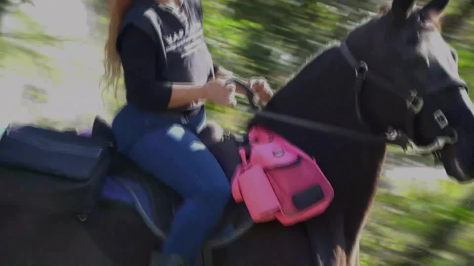 Raiser Ride Heroes on Stallions Fundraiser Ride