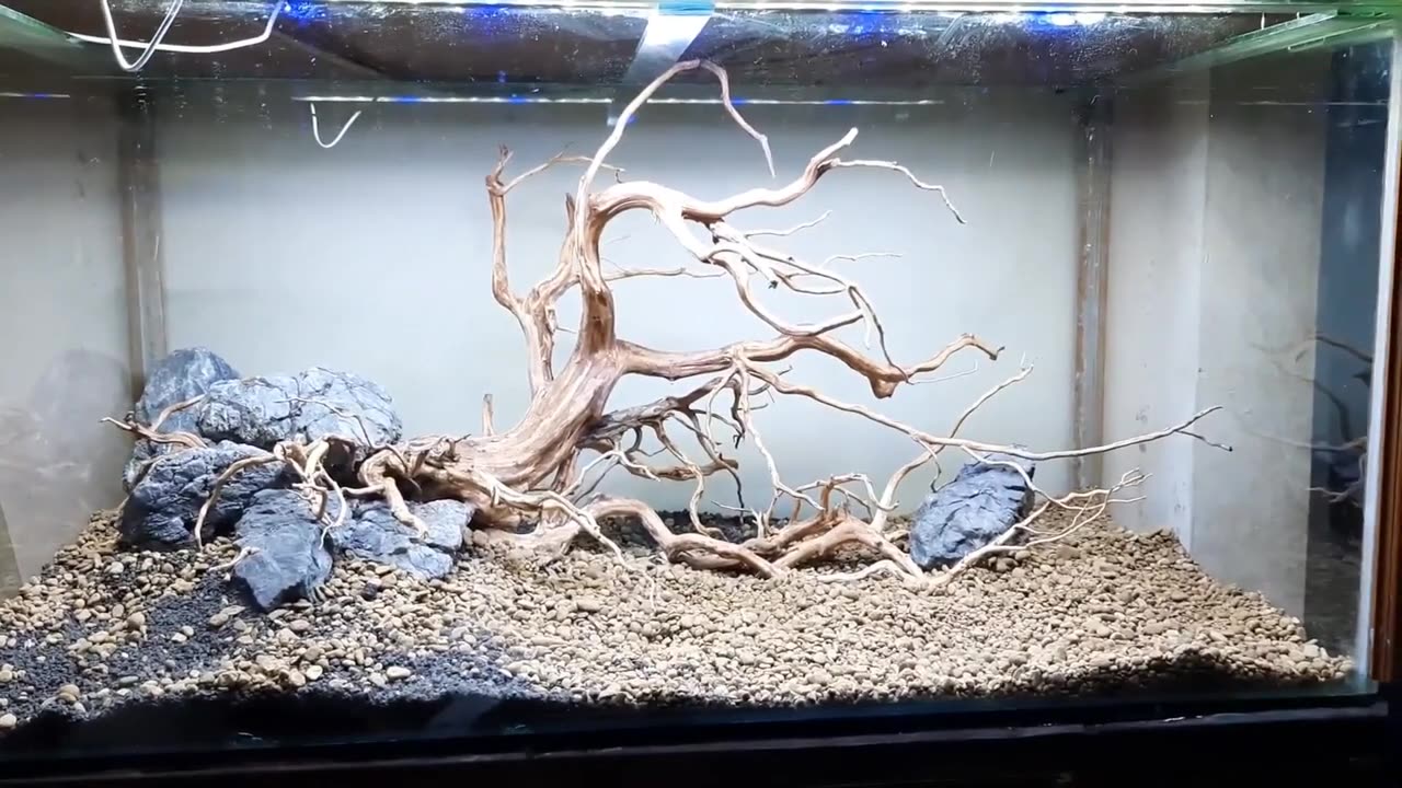 First time making hardscape