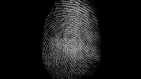 Unlock Your Phone with a Touch: The Science Behind Fingerprints