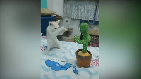 Cat: I was stunned