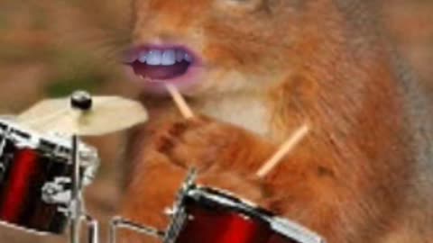 Go Team Squirrel!!!