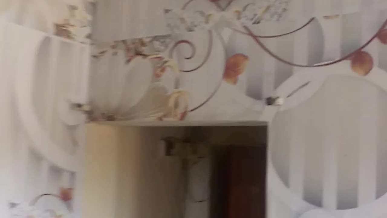 Work on house
