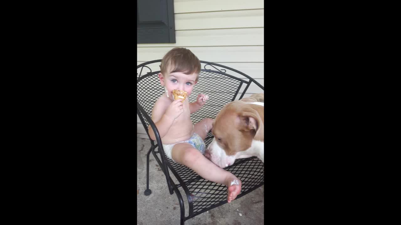 Baby Sharing Ice Cream With Dog