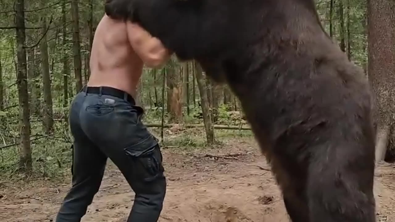 BEAR PLAY WITH MAN