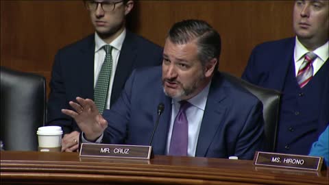 Sen. Cruz Questions Victims of Censorship on Google's Bias