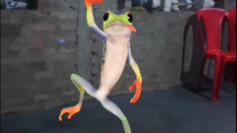 🐸 new video dancer Viral🤯🤯