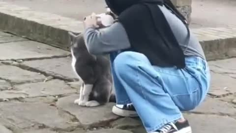 kucing terakhir maaf neng belom siap