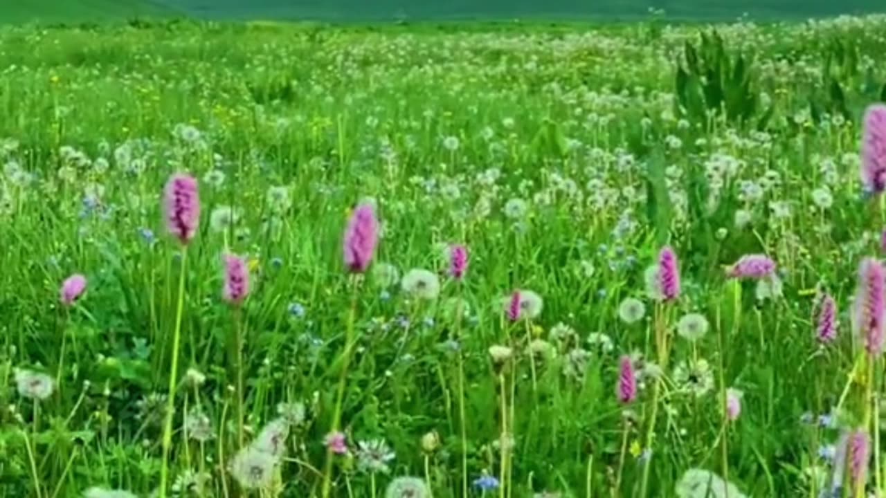 Nature's Symphony: A Visual Journey Through Breathtaking Scenery