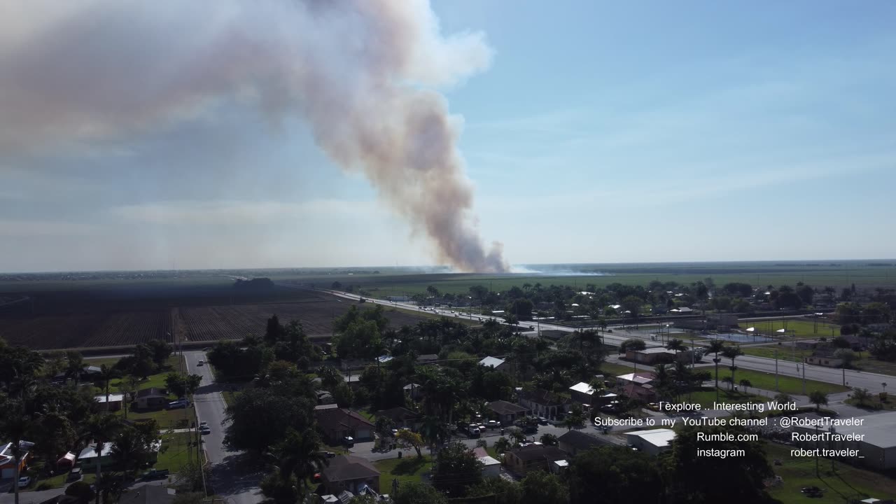 South Bay Florida-Sugar is king around here, but it isn't the only crop; watch for corn......