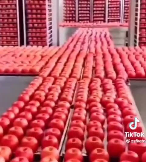 Ιδού η τροφή