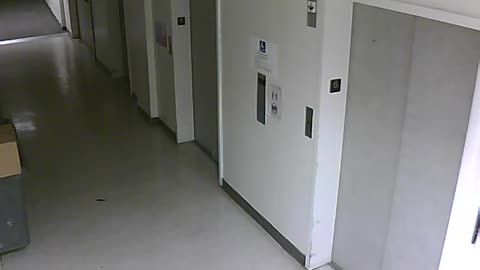 3904PSQB06FreightLobbyRear_2021-01-05_20h00min01s923ms.mp4